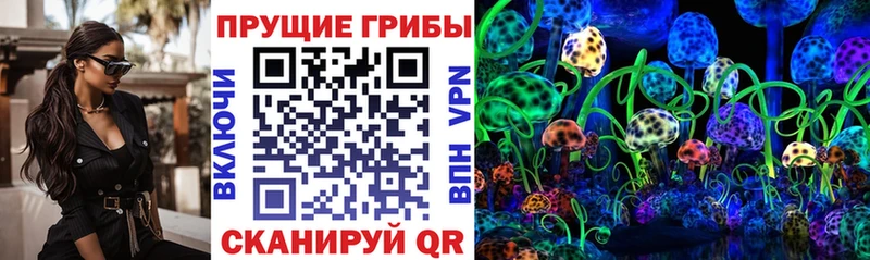 Купить закладки  Миньяр  Псилоцибиновые грибы прущие грибы 